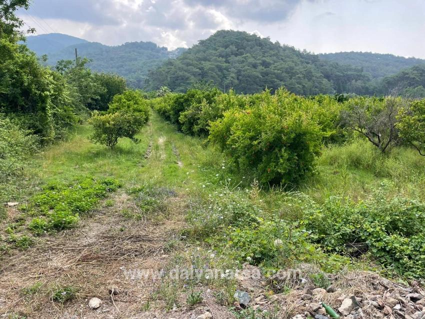 Земля 7800m2 На Продажу В Гёкбеле, Рядом С Дорогой Изтузу Бич Роуд