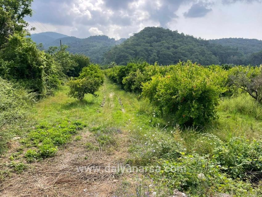 Земля 7800m2 На Продажу В Гёкбеле, Рядом С Дорогой Изтузу Бич Роуд