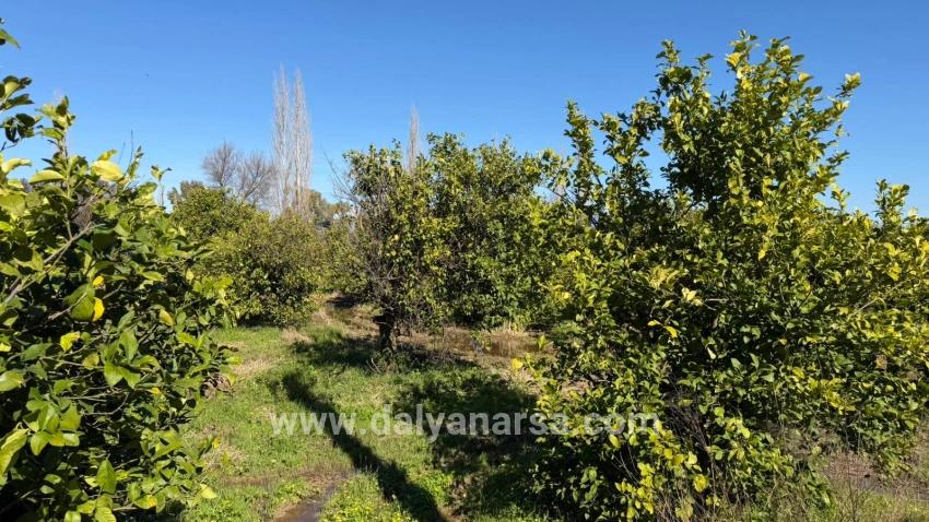 Продается Земельный Участок Площадью 2 218 М² В Окчуларе, Мармарис.