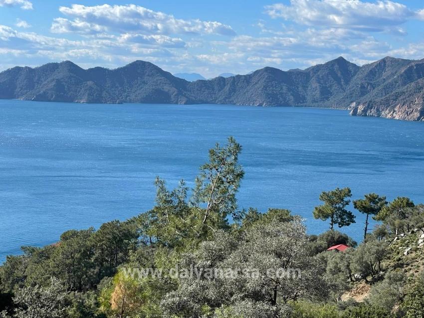 Чандыр 20.000m2 2b С Полным Видом На Море На Продажу