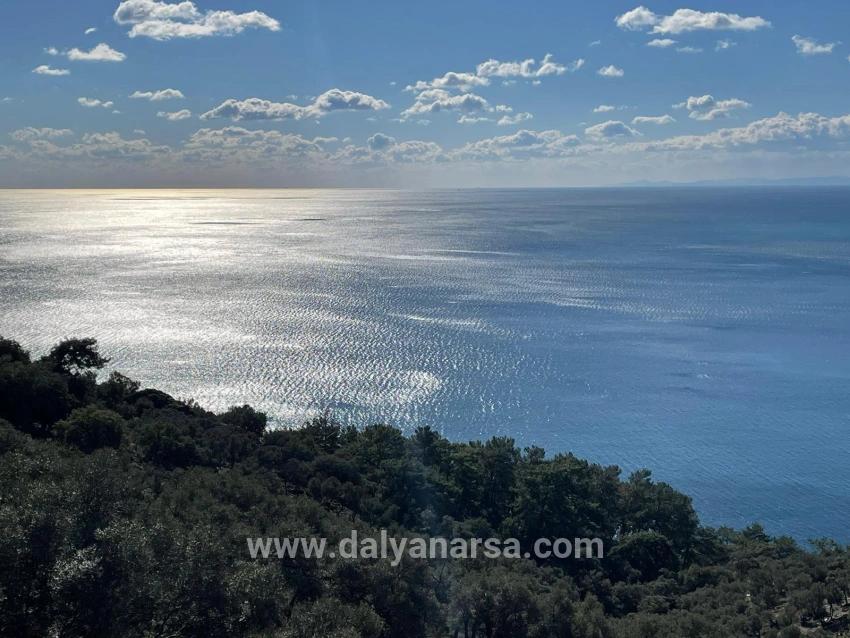 Чандыр 20.000m2 2b С Полным Видом На Море На Продажу