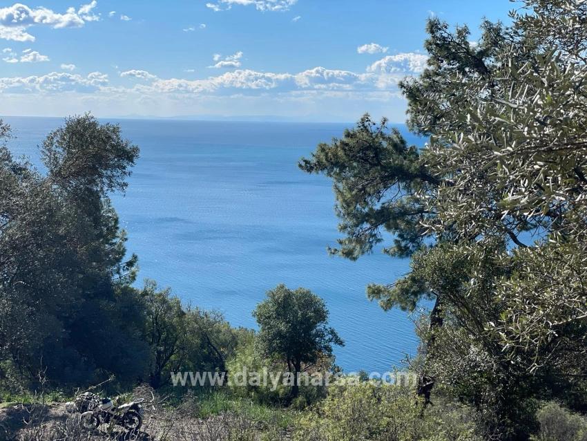 Чандыр 20.000m2 2b С Полным Видом На Море На Продажу