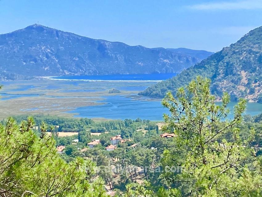 Для продажи Поле в Çandır Köyceğiz - Под Поле застройку - 1.252 m²