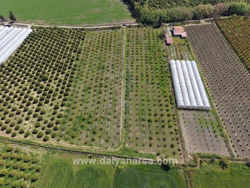 Гранатовый Сад Площадью 16 000 М² Продается В Эскикёе.