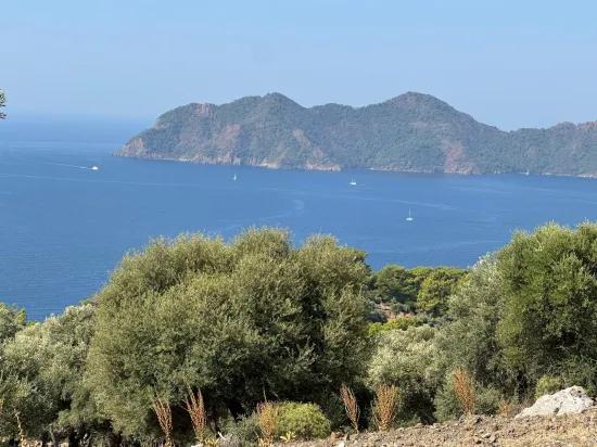 В Çandır с видом на море 21.000 m2 продаётся 2b поле