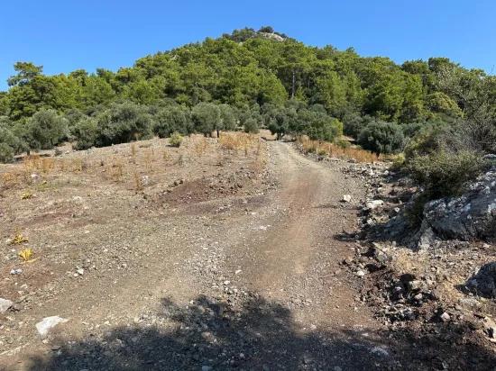 В Çandır с видом на море 21.000 m2 продаётся 2b поле