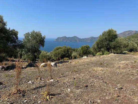 В Çandır с видом на море 21.000 m2 продаётся 2b поле