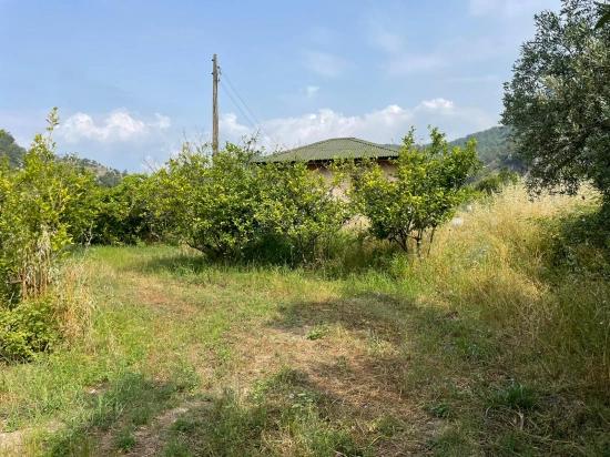 Земля 7800m2 На Продажу В Гёкбеле, Рядом С Дорогой Изтузу Бич Роуд