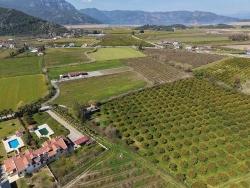 Для продажи Виноградник и сад в Dalyan Ortaca - Под Виноградник и сад застройку - 17.550 m²