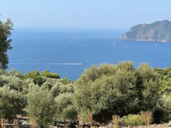 В Çandır С Видом На Море 21.000 M2 Продаётся 2b Поле