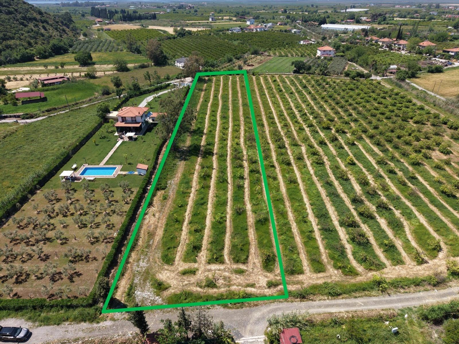 Dalyan Merkeze Yakın 5100m2 Satılık Tarla
