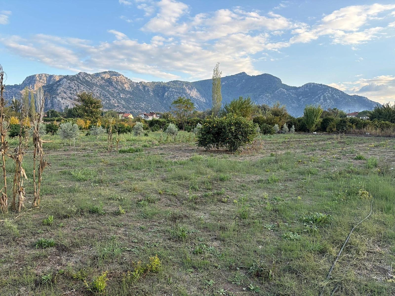 Dalyan'da 7.450m2 %5 İmarlı Satılık Arsa
