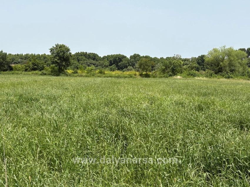 Okçular Marmarlı'da 2390m2 Satılık Arsa