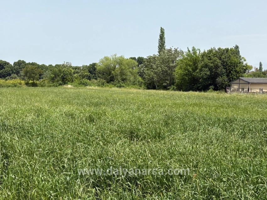Okçular Marmarlı'da 2390m2 Satılık Arsa