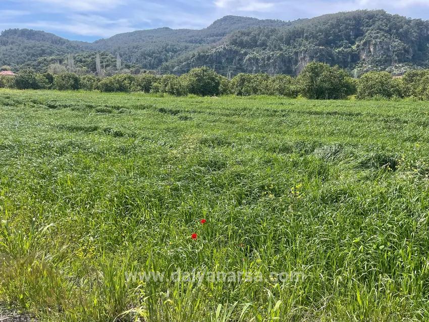 Okçular'da 736m2 Olan 250m2 İnşaat İzinli Satılık Arsa