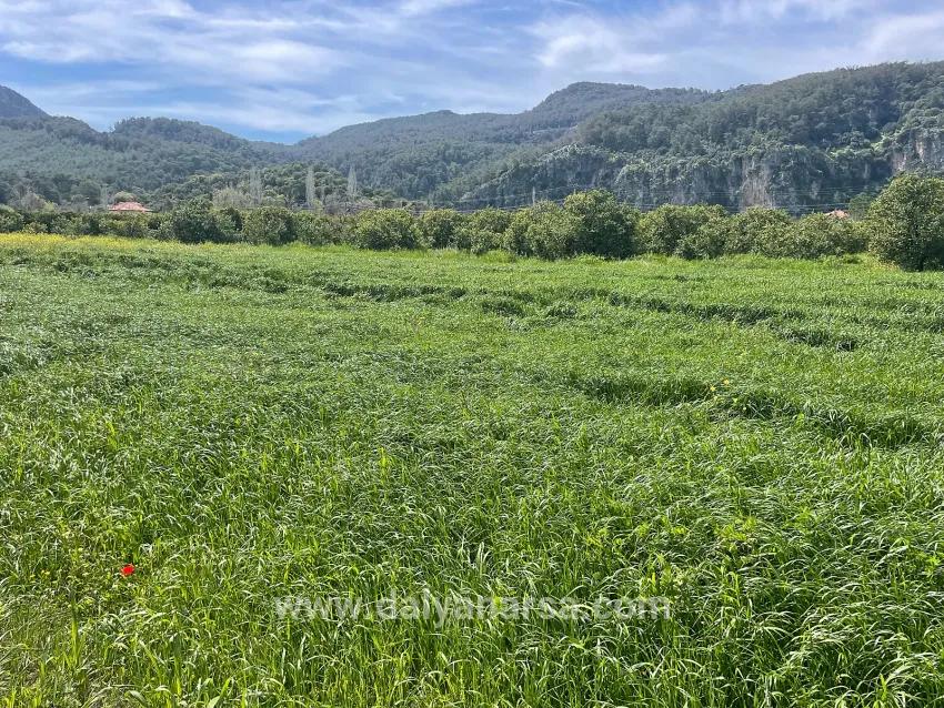 Okçular'da 736m2 Olan 250m2 İnşaat İzinli Satılık Arsa