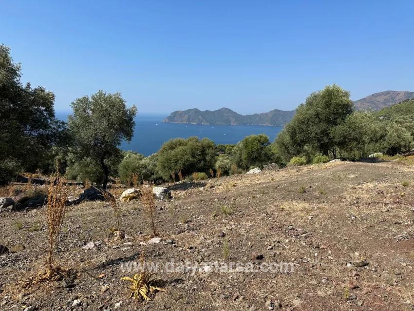 Köyceğiz Çandır Mah. Satılık Tarla - Tarla İmar Durumlu - 21.000 m²