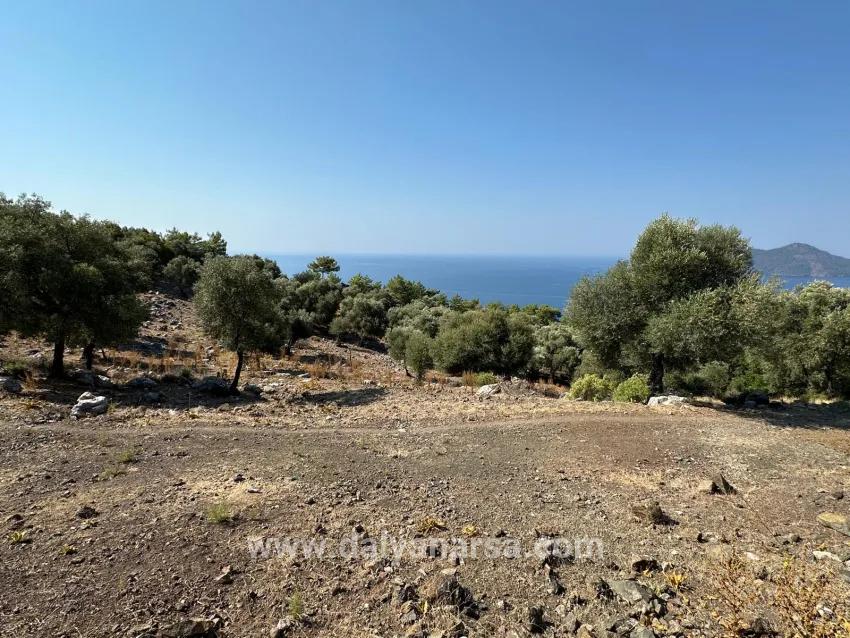 Köyceğiz Çandır Mah. Satılık Tarla - Tarla İmar Durumlu - 21.000 m²