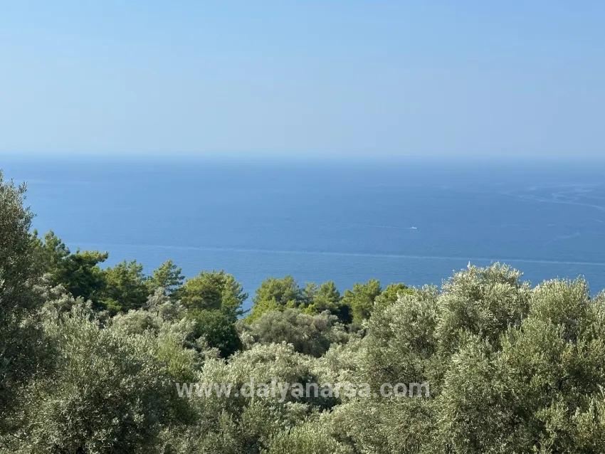 Köyceğiz Çandır Mah. Satılık Tarla - Tarla İmar Durumlu - 21.000 m²