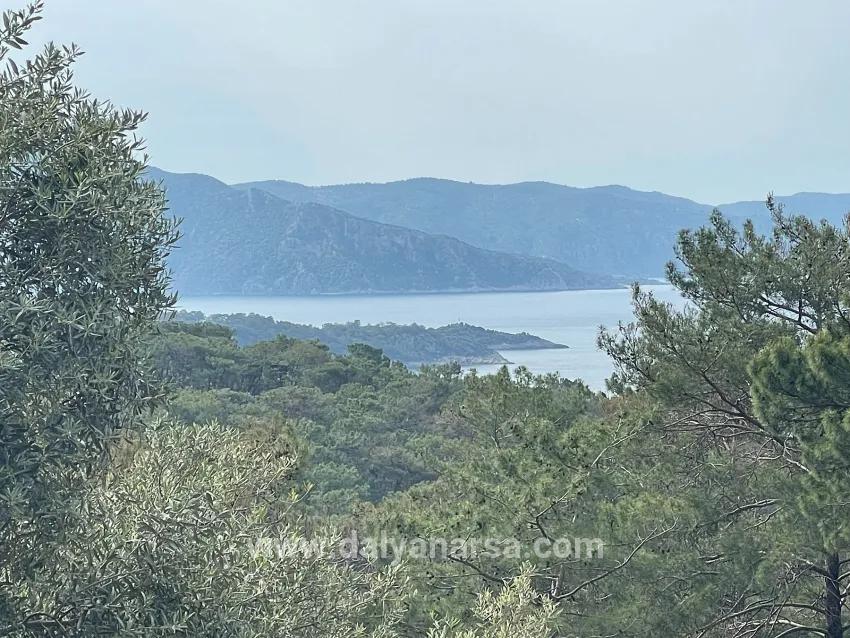 Köyceğiz Ekincik Mah. Satılık Tarla - Zeytinlik İmar Durumlu - 7.000 m²