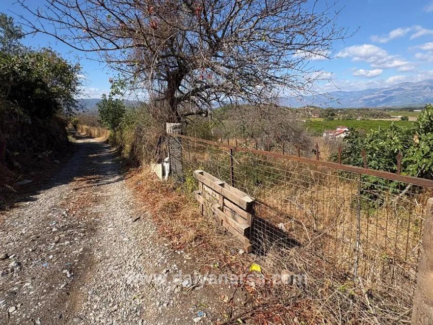 Ortaca Dalyan Mah. Satılık Tarla - Tarla İmar Durumlu - 5.000 m²