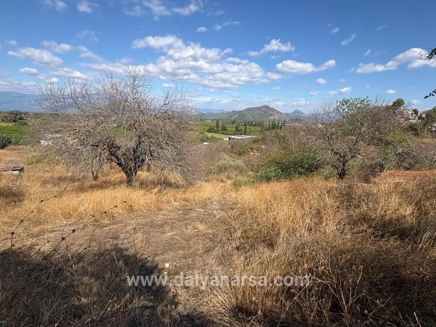 Ortaca Dalyan Mah. Satılık Tarla - Tarla İmar Durumlu - 5.000 m²