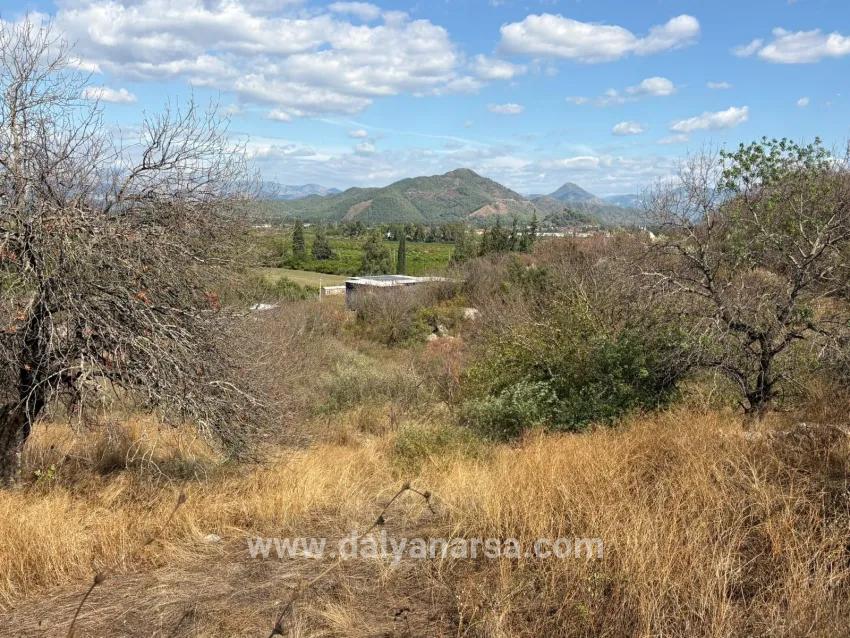 Ortaca Dalyan Mah. Satılık Tarla - Tarla İmar Durumlu - 5.000 m²