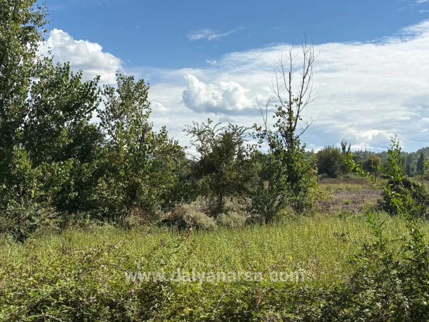 Köyceğiz Zeytinalanı Mah. Satılık Tarla - Tarla İmar Durumlu - 10.500 m²
