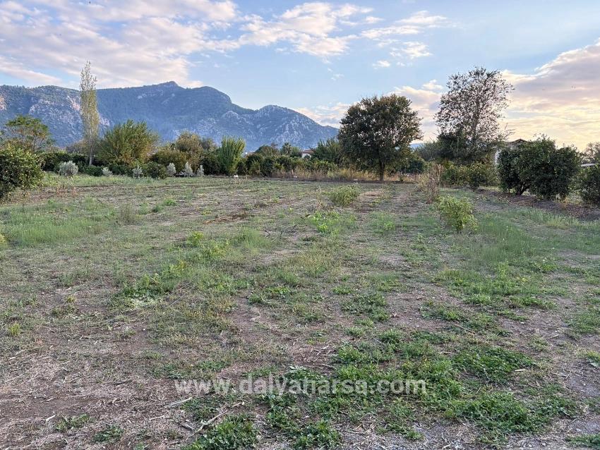 Dalyan'da 7.450m2 %5 İmarlı Satılık Arsa