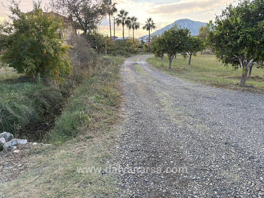 Dalyan'da 7.450m2 %5 İmarlı Satılık Arsa