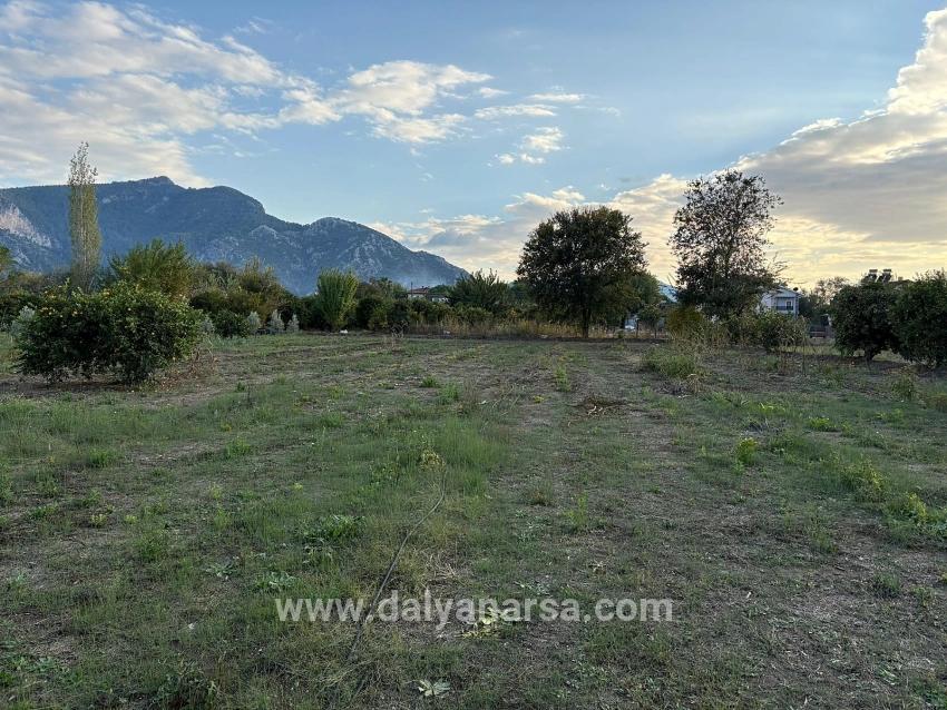 Dalyan'da 7.450m2 %5 İmarlı Satılık Arsa