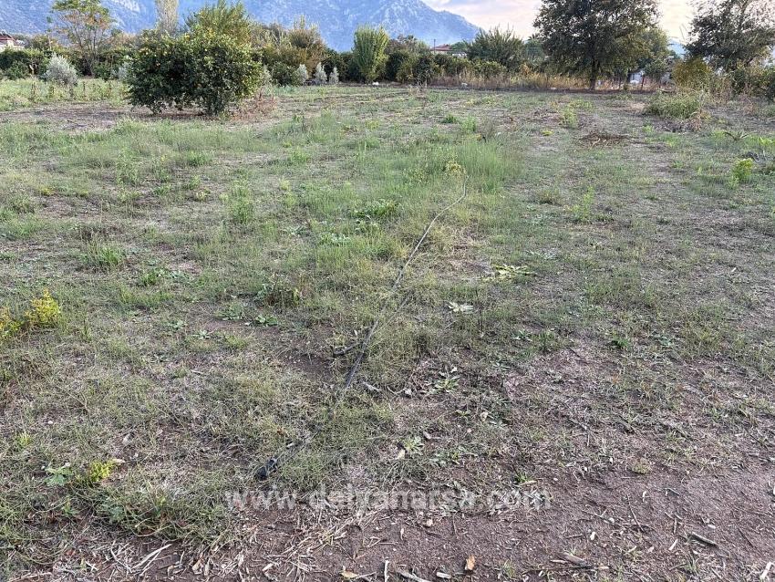 Dalyan'da 7.450m2 %5 İmarlı Satılık Arsa