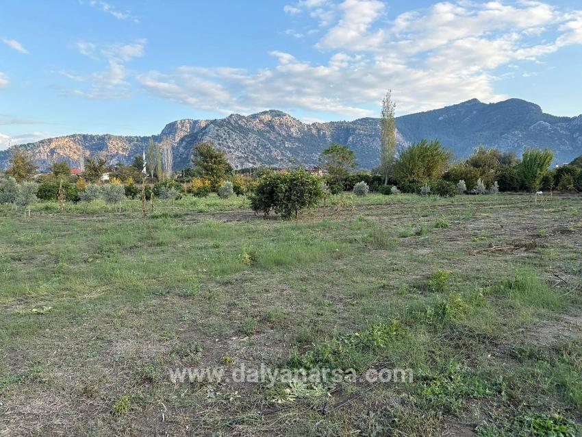 Dalyan'da 7.450m2 %5 İmarlı Satılık Arsa