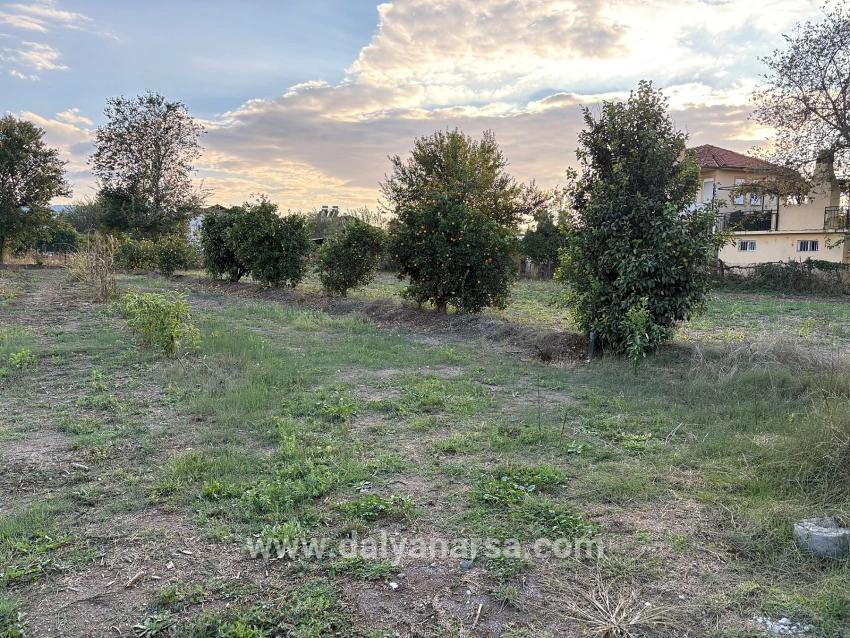Dalyan'da 7.450m2 %5 İmarlı Satılık Arsa