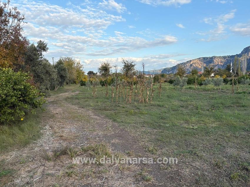 Dalyan'da 7.450m2 %5 İmarlı Satılık Arsa