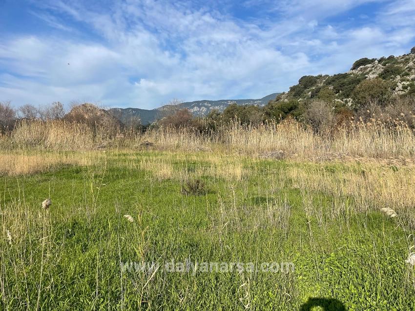 Dalyan'da 6800 M2 %5 Konut İmarlı Satılık Arsa