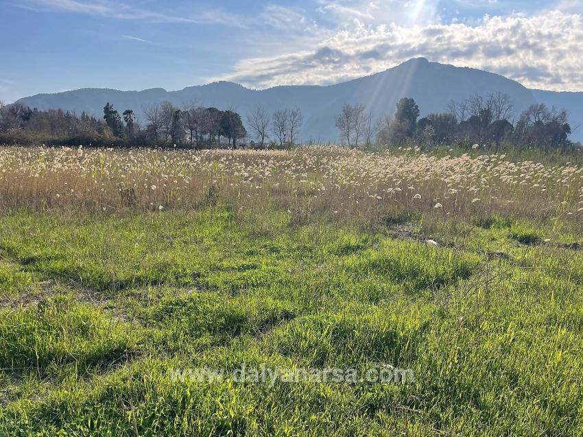 Dalyan'da 6800 M2 %5 Konut İmarlı Satılık Arsa