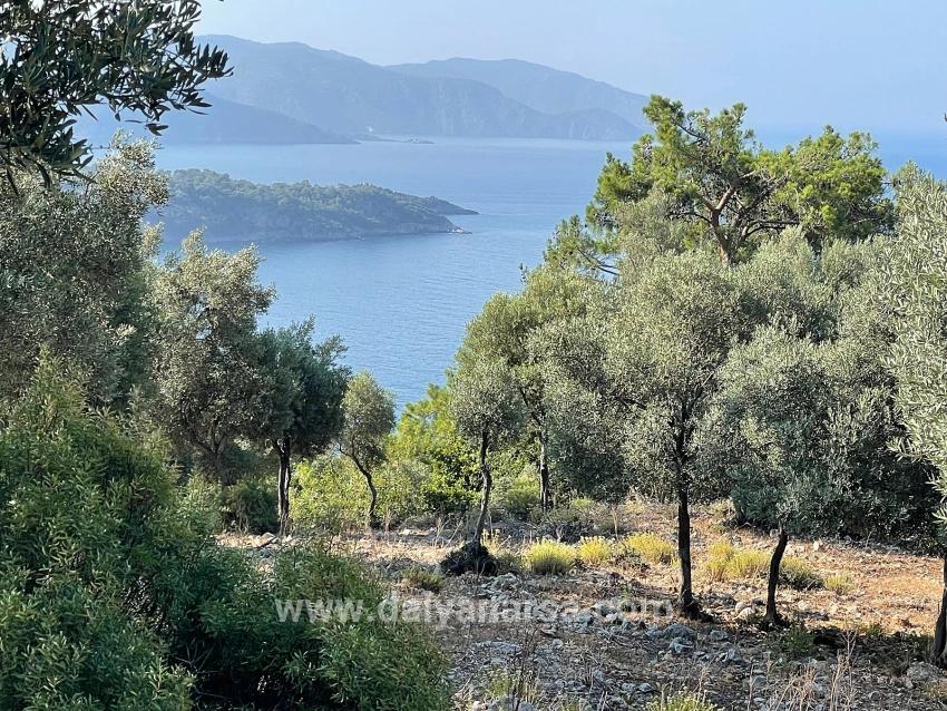 Ekincik Çandır Arasın'da Deniz Manzaralı Kelepir Emlak Satılık Arsa