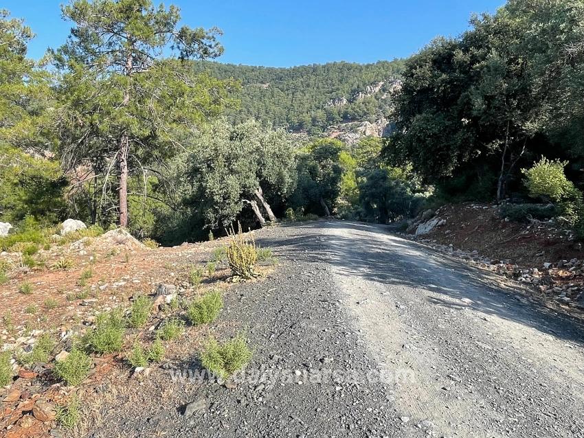 Köyceğiz Çandır Mah. Satılık Tarla - Konut İmar Durumlu - 10.481 m²