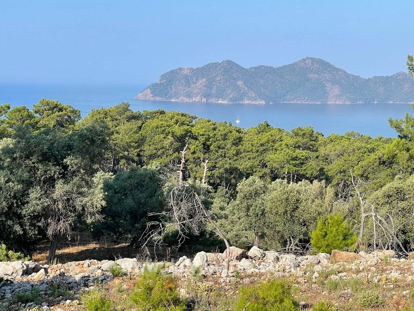 Ekincik Çandır Arasın'da Deniz Manzaralı Kelepir Emlak Satılık Arsa