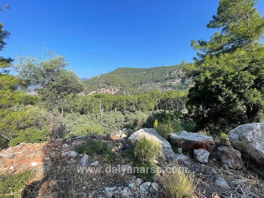 Köyceğiz Çandır Mah. Satılık Tarla - Konut İmar Durumlu - 10.481 m²
