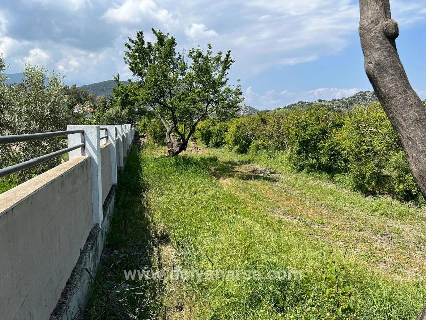 Dalyan Maraş Mevkiinden 5,100m2 %5 Konut İmarlı Satılık Arsa