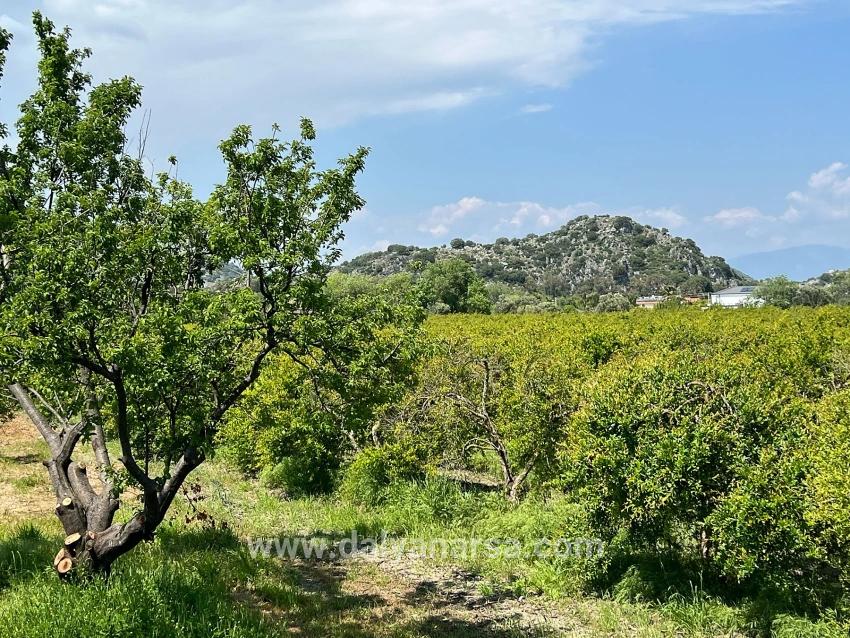 Dalyan Maraş Mevkiinden 5,100m2 %5 Konut İmarlı Satılık Arsa