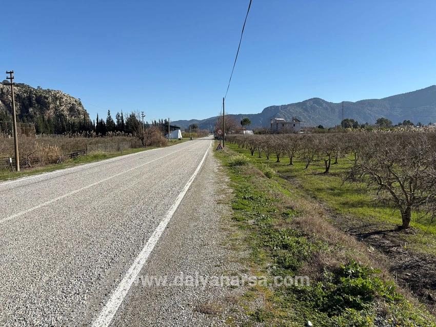 Dalyan'da Bağ Bahçe Olarak 5985m2 %5 İmarlı Satılık Arsa