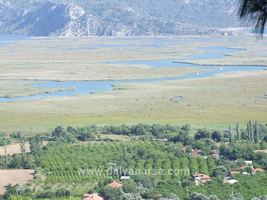 Köyceğiz Çandır'da 19.334m2 Satılık Tarla