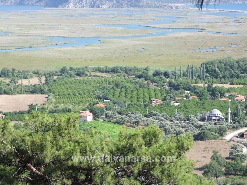 Köyceğiz Çandır'da 19.334m2 Satılık Tarla