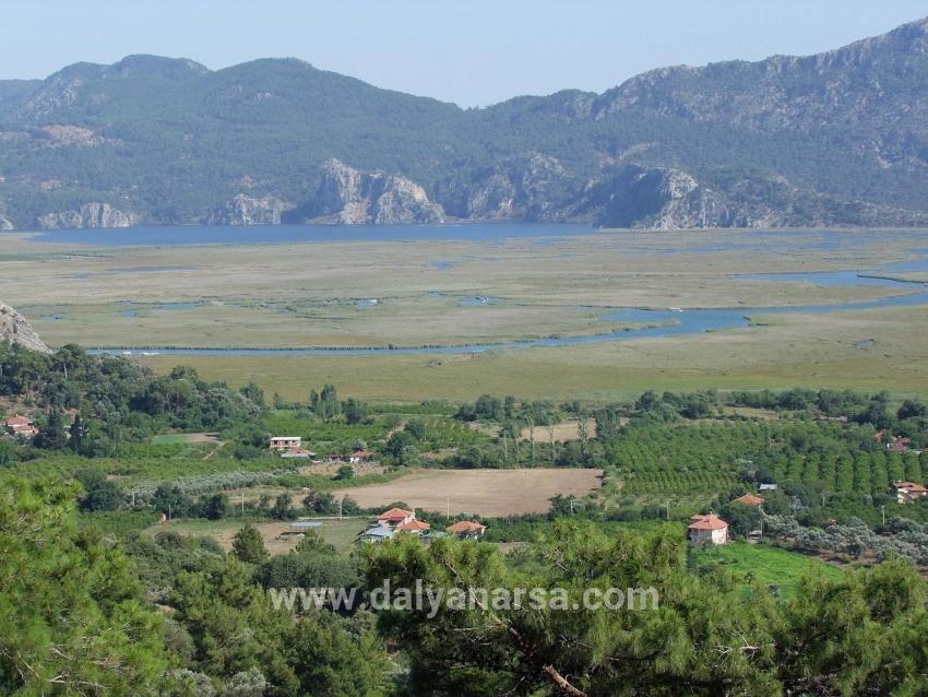 Köyceğiz Çandır'da 19.334m2 Satılık Tarla