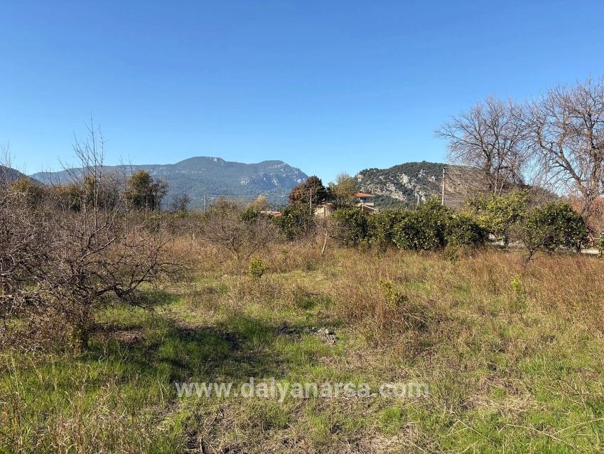 Dalyan'da 4.541m2 Satılık Bahçe