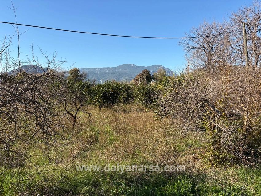 Dalyan'da 4.541m2 Satılık Bahçe