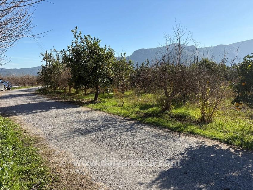 Dalyan'da 4.541m2 Satılık Bahçe